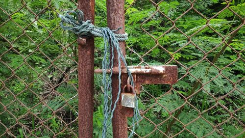 Close-up of padlock on fence