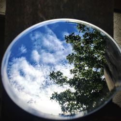 Low angle view of tree against sky