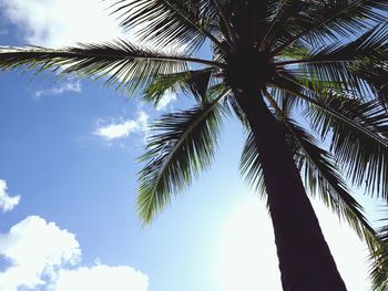 Low angle view of palm tree against cloudy sky