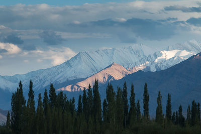 Scenic view of snowcapped mountains against sky