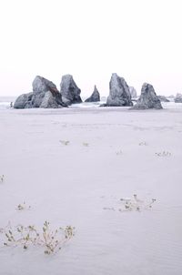 Rocks on beach against sky