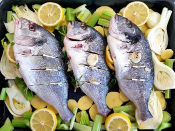 High angle view of fish for sale in market