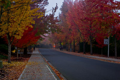 Road amidst trees during autumn