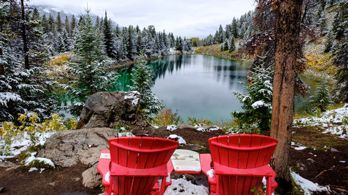 Panoramic view of lake amidst trees in forest