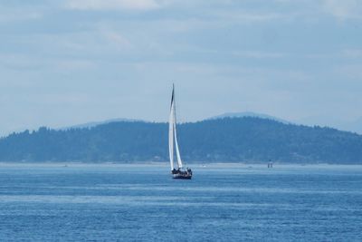 Sailboat sailing on sea against sky