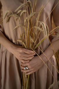 Close-up of hand holding plant