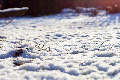 Close-up of snow covering field