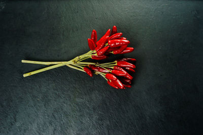 Close-up of red chili peppers on black background