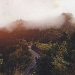 High angle view of road amidst trees during foggy weather