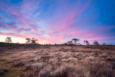 Scenic view of landscape against sky during sunset