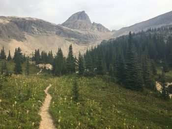 Scenic view of mountains against sky