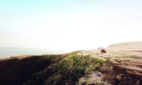 Scenic view of sea against clear sky