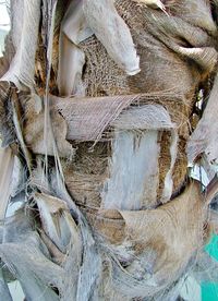 Close-up of old wooden wall