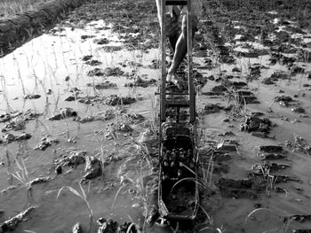 Aerial view of water