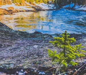 Scenic view of river flowing through rocks