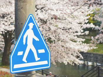 Information sign against flowering tree