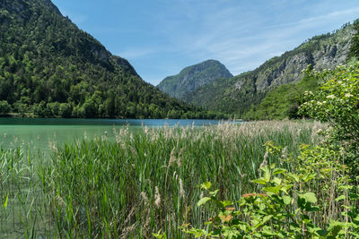 Scenic view of lake and mountains against sky