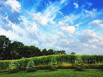 Scenic view of field against cloudy sky