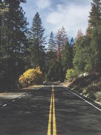 Road passing through forest