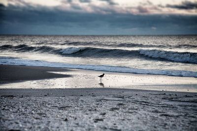 Scenic view of beach against cloudy sky