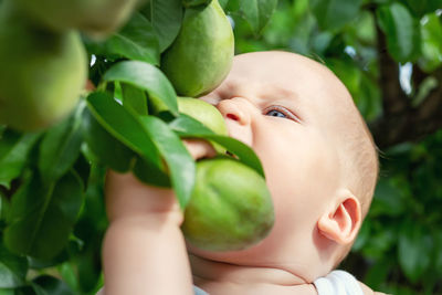 Close-up of baby boy holding fruit at park