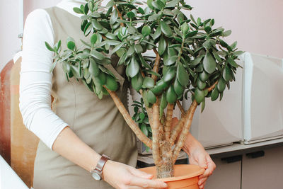 Midsection of woman holding plant