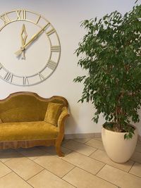 Potted plants on wall at home