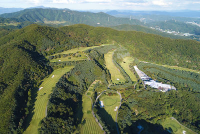 High angle view of trees on landscape