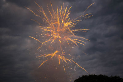 Low angle view of fireworks in sky at night