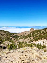 Scenic view of landscape against clear blue sky