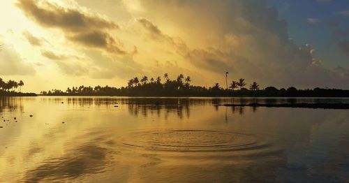 Scenic view of silhouette trees against sky during sunset