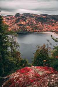 Scenic view of lake against sky during autumn