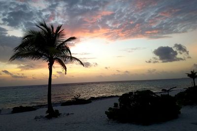Scenic view of sea at sunset