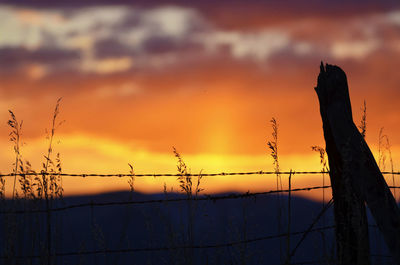 Low angle view of silhouette fence against sky during sunset