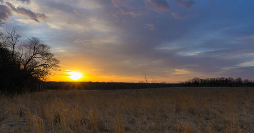 Scenic view of landscape at sunset