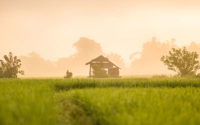 Built structure on field against sky during sunrise