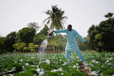 Man watering plants in field