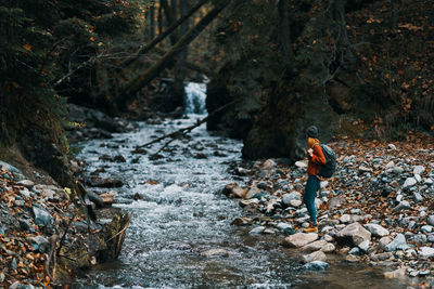 Rear view of person standing on rock in forest