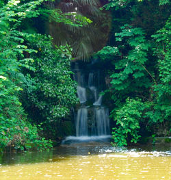 Waterfall in forest