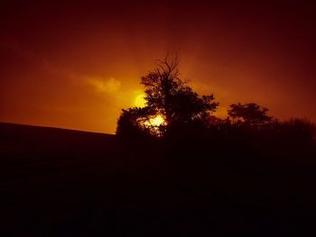 Silhouette of trees at sunset