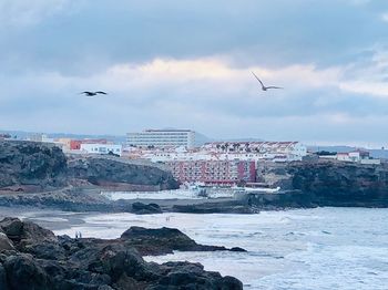 Seagulls flying over sea against sky