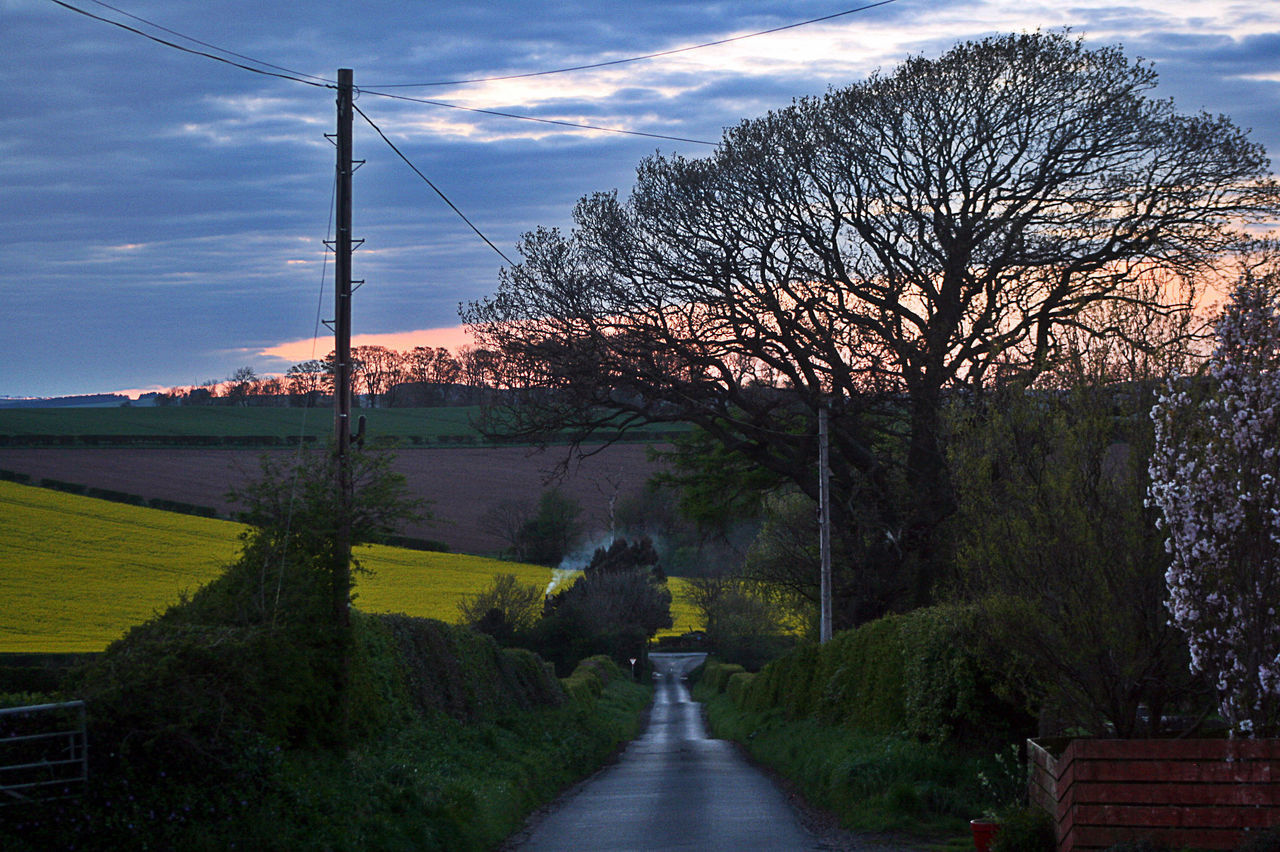 the way forward, tree, sky, diminishing perspective, road, transportation, cloud - sky, vanishing point, power line, tranquility, nature, sunset, street, footpath, tranquil scene, cloud, growth, built structure, electricity pylon, country road