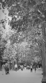 Woman standing on tree trunk