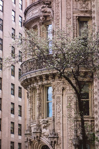 Low angle view of historical building