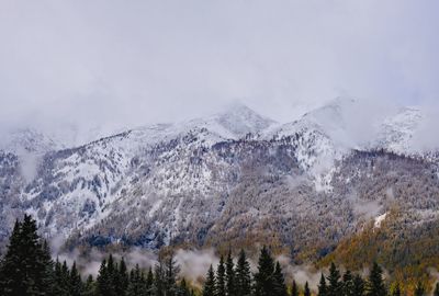 snow
