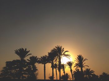 Silhouette palm trees against sky during sunset