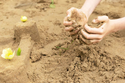 Close-up of hand holding sand