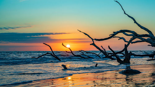 Scenic view of sea during sunset