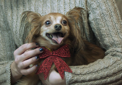 Portrait of woman holding dog