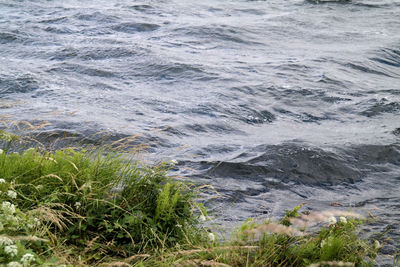 High angle view of sea